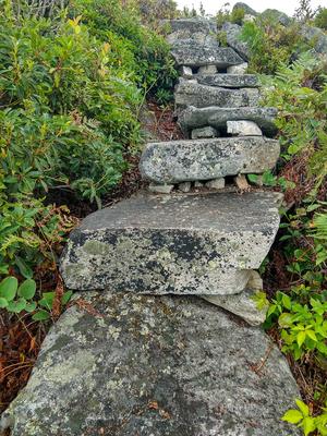 Rock Steps on Firescald Knob