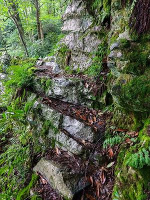 Rock Outcrop on the Appalachian Trail