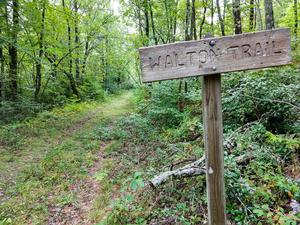 Walton Interpretive Trail Sign