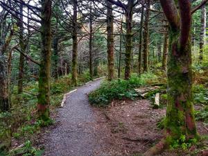 Balsam Nature Trail