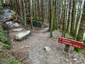 Spur to the Spring on the Balsam Nature Trail