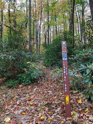 Lead Mine Gap Trail Sign