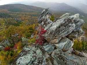 View from the Prominent Outcrop on Bald Knob