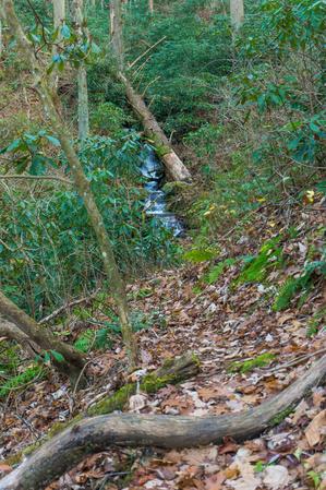 View of West Fork Shut-In Creek on the Betty Place Trail