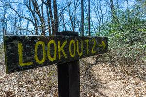 Lookout 2 Sign