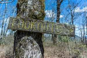 Lookout 5 on Chinquapin Mountain