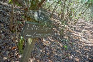 Old Sign on the Chinquapin Mountain Trail