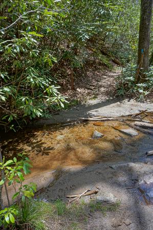 Tributary Stream on the Chinquapin Mountain Trail