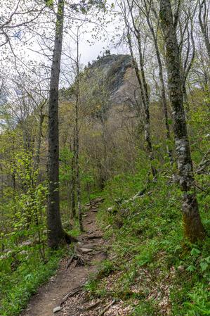 The Profile Trail winds its way up the ridge containing the rock features that give Grandfather Mountain its name.