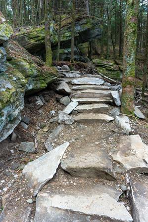 New Stone Steps on the Profile Trail