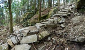 Stone Steps and Switchback on Grandfather Mountain
