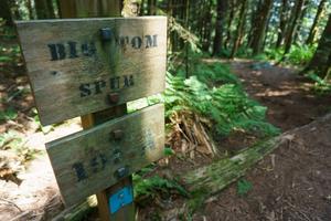 Big Tom (Spur) Trail Sign