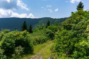 View from Buncombe Horse Range Trail