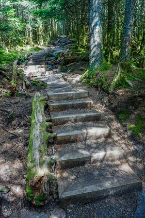 Mount Mitchell Trail Steps