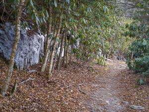 Icecicles on the Flat Laurel Creek Trail