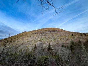 View of Sam Knob from Flat Laurel Creek Trail