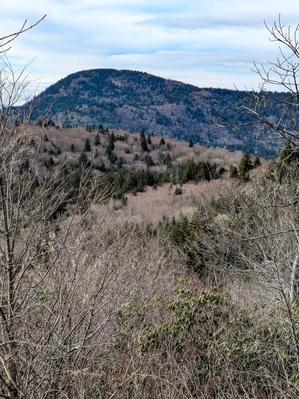 View of Mount Hardy from Little Sam Trail