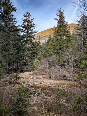 Sam Knob behind Flat Laurel Creek