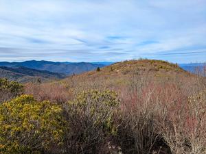 Summit of Sam Knob