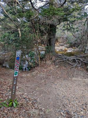 Start of the Sam Knob Trail